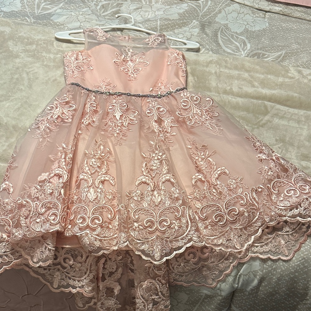 Charming Blush Lace Kids Dress